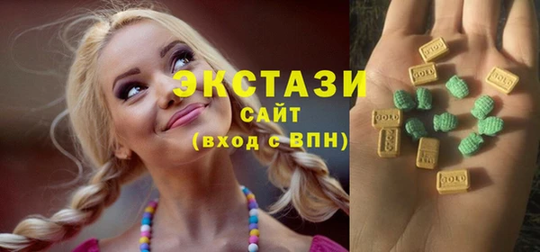 шишки Няндома