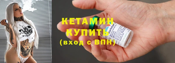 шишки Няндома