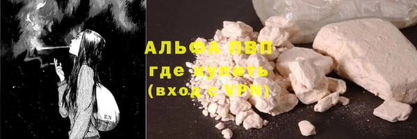 шишки Няндома