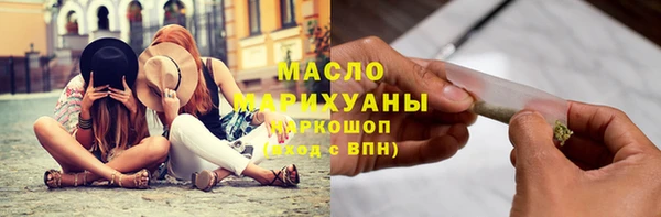 шишки Няндома