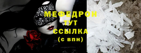 шишки Няндома