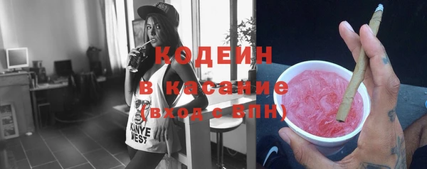 шишки Няндома