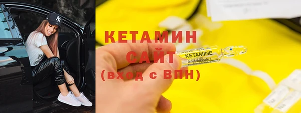 шишки Няндома