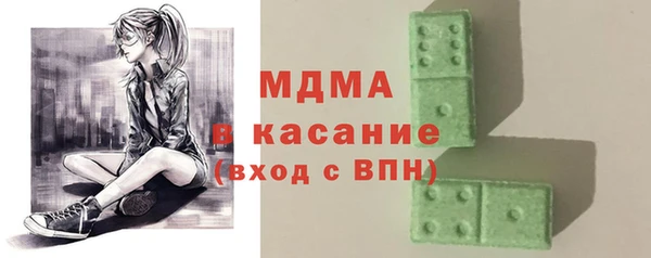 шишки Няндома