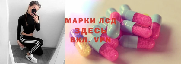 шишки Няндома