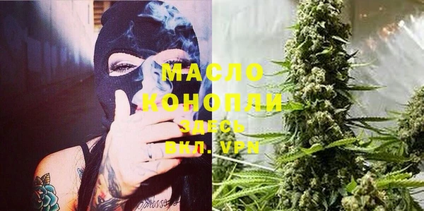индика Новодвинск