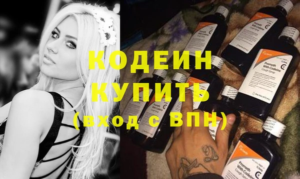 шишки Няндома