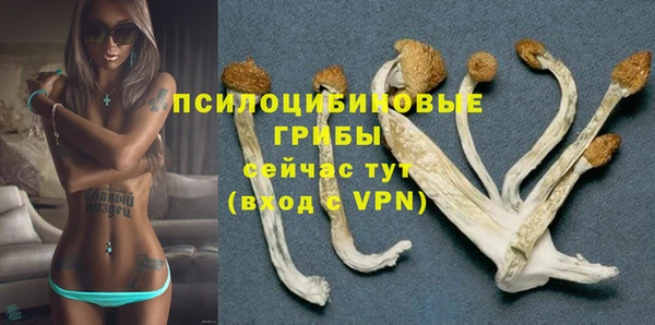 spice Нягань