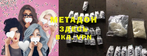 шишки Няндома