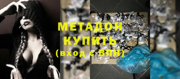 шишки Няндома