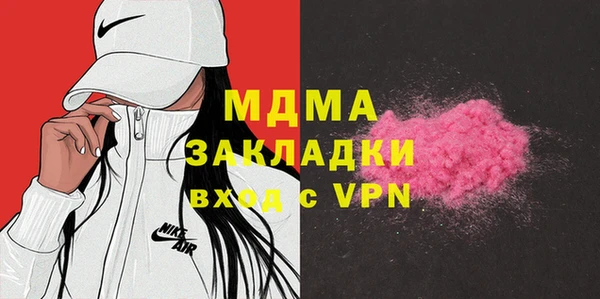 шишки Няндома