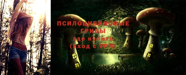 гашик Осинники