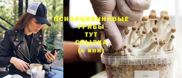 spice Нягань