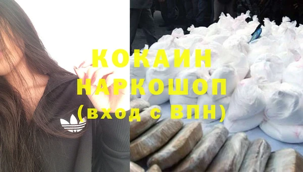 амф Новозыбков