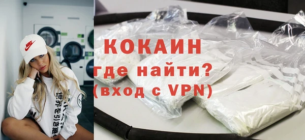 шишки Няндома