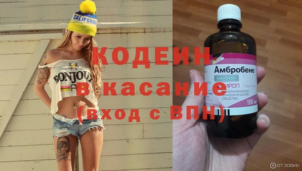 шишки Няндома